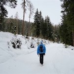 "Ich habe mir meine besten Gedanken ergangen und kenne keinen Kummer, den man nicht weggehen kann." (S. Kierkegaard)