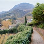 Das farbenfrohe Rebenkleid verleiht der Natur ein warmes Antlitz