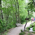 Schließlich trennt sich der Partschinser Sagenweg vom Partschinser Waalweg