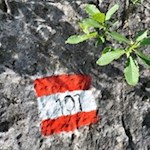 Der Anstieg zur Bertihütte ist bestens markiert