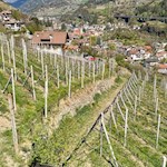 Durch Obstwiesen nach Villanders