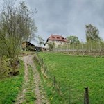 Auf einer Kuppe thront der Ansitz Fonteklaus