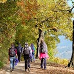 Insbesondere-im-Herbst-tummeln-sich-so-einige-Wanderer-auf-dem-Keschtnweg
