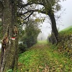 Auf dem Keschtnweg nach Antlas