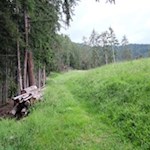 Über Wiesen- und Waldhänge zur Kreuzwiesenhütte