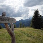 Auf dem Rückweg kann man bei der Riesenlibelle auch den Weg Nr. 9A einschlagen