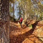 Wandern mit Hund nach Lichtenstern