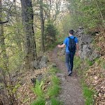 Der Kirchsteig führt durch ein lichtes Waldstück nach Sauders