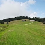 Nur noch wenige Meter bis zur idyllisch gelegenen Lanzwiesenalm...