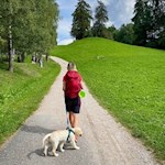 Wandern mit Hund auf dem Stocknertalweg