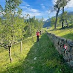 Durch schöne Wiesen nach Sauders