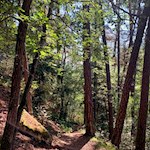 Wandern auf dem Rundweg Bergl