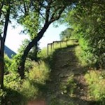 Im sanften Anstieg in Richtung Raas