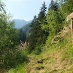 Dieser Spazierweg ist gut ausgeschildert