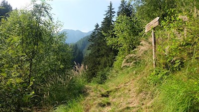 Dieser Spazierweg ist gut ausgeschildert