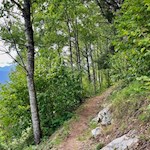 Sanft zieht sich der Stocknertalweg durch Wald und Wiesen