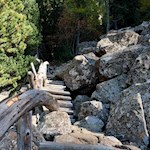 Abstieg auf dem felsdurchsetzten Steig Nr. 8