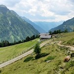 Auf dem Weg zur Unteren Kofleralm