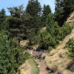 Auf teils schmalen Wegen auf die Hammerwand