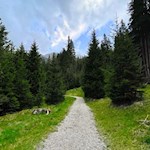 Der breite Naturerlebnisweg Zans ist ideal für Ausflüge mit dem Kinderwagen