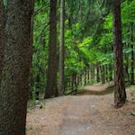 Leichte Wanderung von Vahrn zum Vahrner See