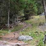 Der erste Teil des Wanderung führt im steten Anstieg durch den Wald