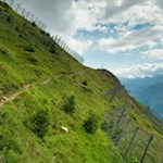 Nur noch wenige Meter trennen uns vom Gipfelkreuz des Schönberg