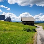 Sanft schlängelt sich der Wanderweg durch die Wiesen der Seiser Alm