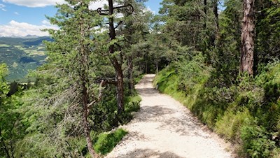Hinter der Tuffalm führt der Weg über bewaldete Hänge