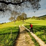 Von Karnol steigt der Wanderweg durch bunte Blumenwiesen nach St. Leonhard an