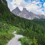 Sullo sfondo del Monte Cristallo si torna al Passo Tre Croci