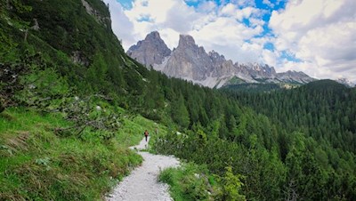 Sullo sfondo del Monte Cristallo si torna al Passo Tre Croci