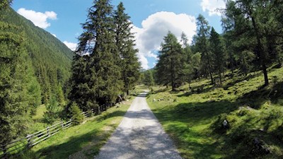 Die umliegenden Bäume werfen kühlende Schatten auf den Weg