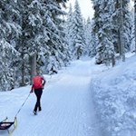 Anstieg zur Glatsch Alm