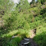 Auf dem schmalen Pfad Nr. 3