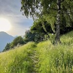 Abendstimmung in den Wiesen bei St. Valentin