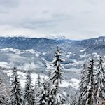 "Der Winter hat sich angefangen, der Schnee bedeckt das ganze Land." (Johann Rist)