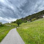 Die Wanderung nach Feldthurns führt durch blumenreiche Wiesen