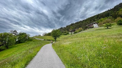 Die Wanderung nach Feldthurns führt durch blumenreiche Wiesen