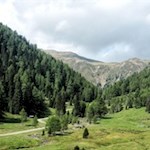 Durch die unberührte Natur zur Silvesteralm