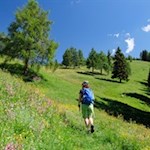 Durch blumenfrohe Lärchenwiesen auf den Golfen