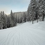 Die Rodelbahn Ratschings ist bestens ausgeschildert