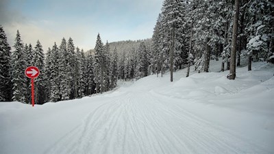 Die Rodelbahn Ratschings ist bestens ausgeschildert