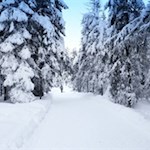 Die Rodelbahn Wildbad Innichen zählt zu den schneesichersten Rodelbahnen Südtirols