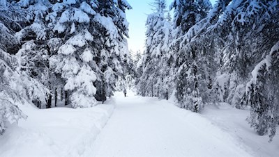 Die Rodelbahn Wildbad Innichen zählt zu den schneesichersten Rodelbahnen Südtirols