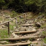 Auf dem Weg zur Fane Alm