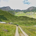 Inmitten der grünen Pfunderer Bergwelt liegt die Weitenbergalm