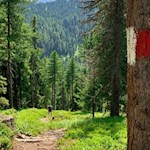 Die Wanderung zur Pecolhütte ist gut markiert