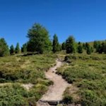 Wandern im Naturpark Rieserferner-Ahrn