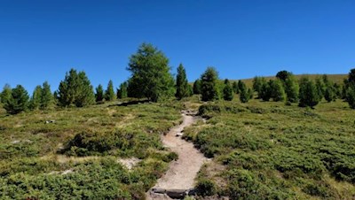 Wandern im Naturpark Rieserferner-Ahrn